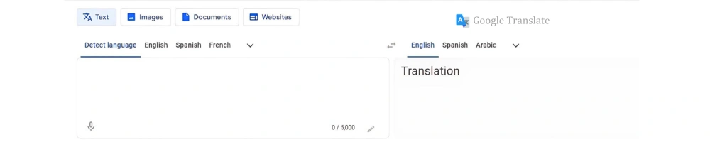 Google Translate web Interface and features