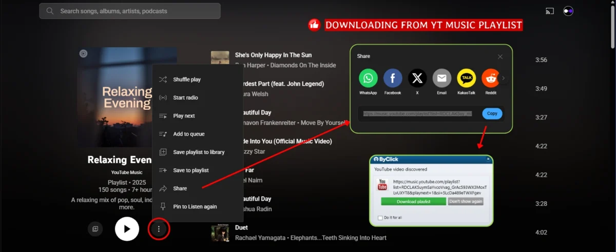 Steps to Download Playlists from YT Music Playlists to Computer