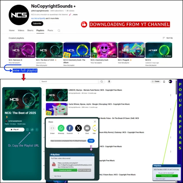 Steps to Download Playlists from YouTube Channel Playlists to Computer
